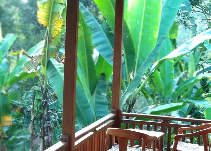 カントリーハウス Jungle Joglo