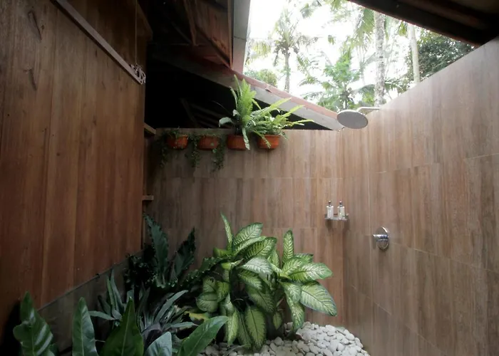 Jungle Joglo *