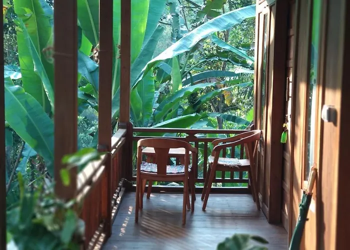 Jungle Joglo