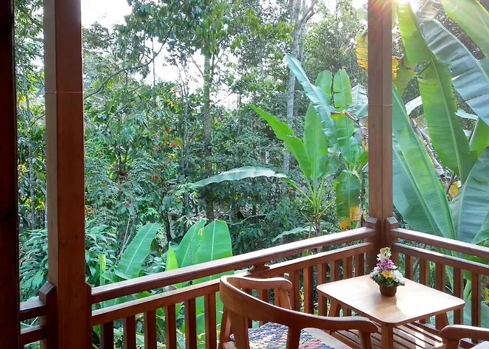Jungle Joglo *