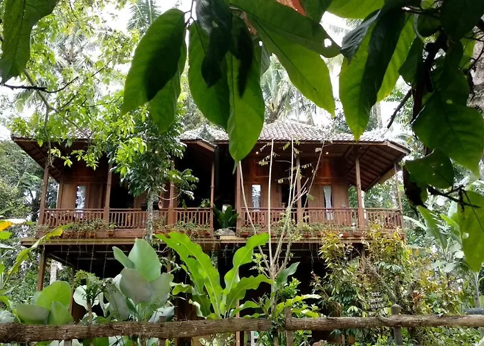 Jungle Joglo