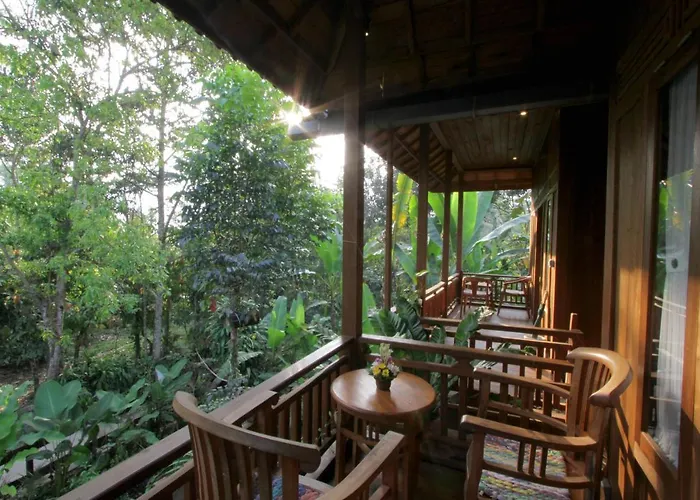 Jungle Joglo