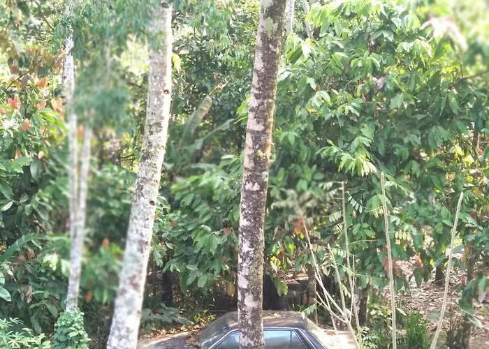 Jungle Joglo Tampaksiring