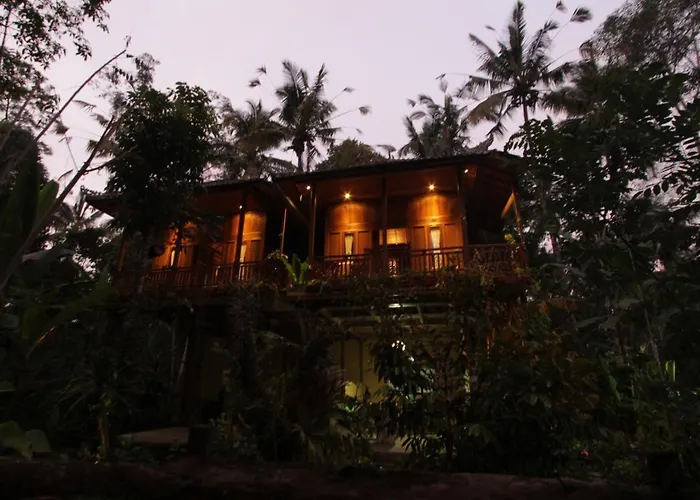 Jungle Joglo